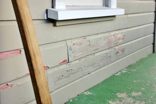 Best Siding for New Construction  in Alamo, GA